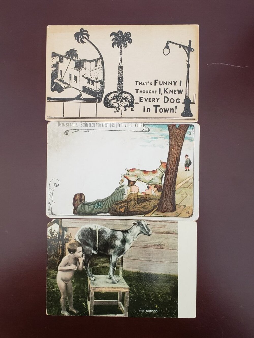 Humorous Vintage Post Card somewhat tongue-in-cheek unused